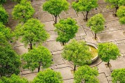 城市里种菜，大学生能掀起绿色革命吗？