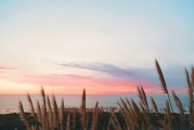 浙大分子化学，究竟藏着怎样的奥秘，让你心驰神往？
