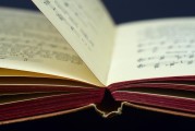 《教育惩戒细则速览》