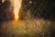 想不想知道老年大学电脑设计班，如何让夕阳余晖绽放新光彩？