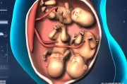【科学助力梦想】三胎试管婴儿，精准性别选择，圆您儿子梦！