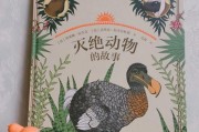 河狸先生早教