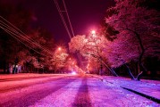 2025年，514分能上哪些本科名校？揭秘你的大学梦！
