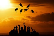 扬州大学的那棵树，教育背后藏着怎样的秘密？