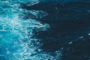 探索深海奥秘，你准备好踏上一场留学冒险了吗？
