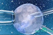 三胎政策下，试管婴儿技术助力家庭实现性别选择？