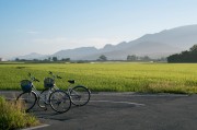 园林工程，就业前景如何？是金饭碗还是鸡肋？
