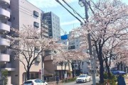 日本九州大学留学条件