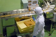 石家庄教育局全天候咨询服务热线