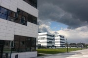 四川大学锦江学院，哪三个专业毕业后最抢手，就业前景一片光明？