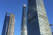 上海哪些专业人才如此抢手，竟让人望尘莫及？