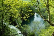 经济学视角下，如何让绿水青山永驻？守护生态，你有什么高招？