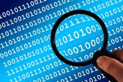 2025年，哪些高校的管理科学专业独领风骚，分数线又是多少？