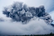 396分能读哪所民办专科？历史类2选1，物理类独占1席？