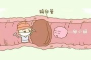 卵泡的存在是否意味着输卵管畅通无阻？