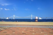 “在影视的海洋中，釜山大学的航标，你找到了吗？”