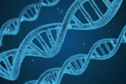 新疆240分公办专科哪家强？理科文科排名之谜！