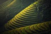 海洋大学工程专业，究竟藏着怎样的秘密，让你心动不已？