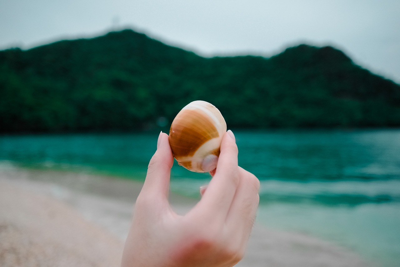 信用风险管理与法律防控，是隐藏的就业黑洞吗？
