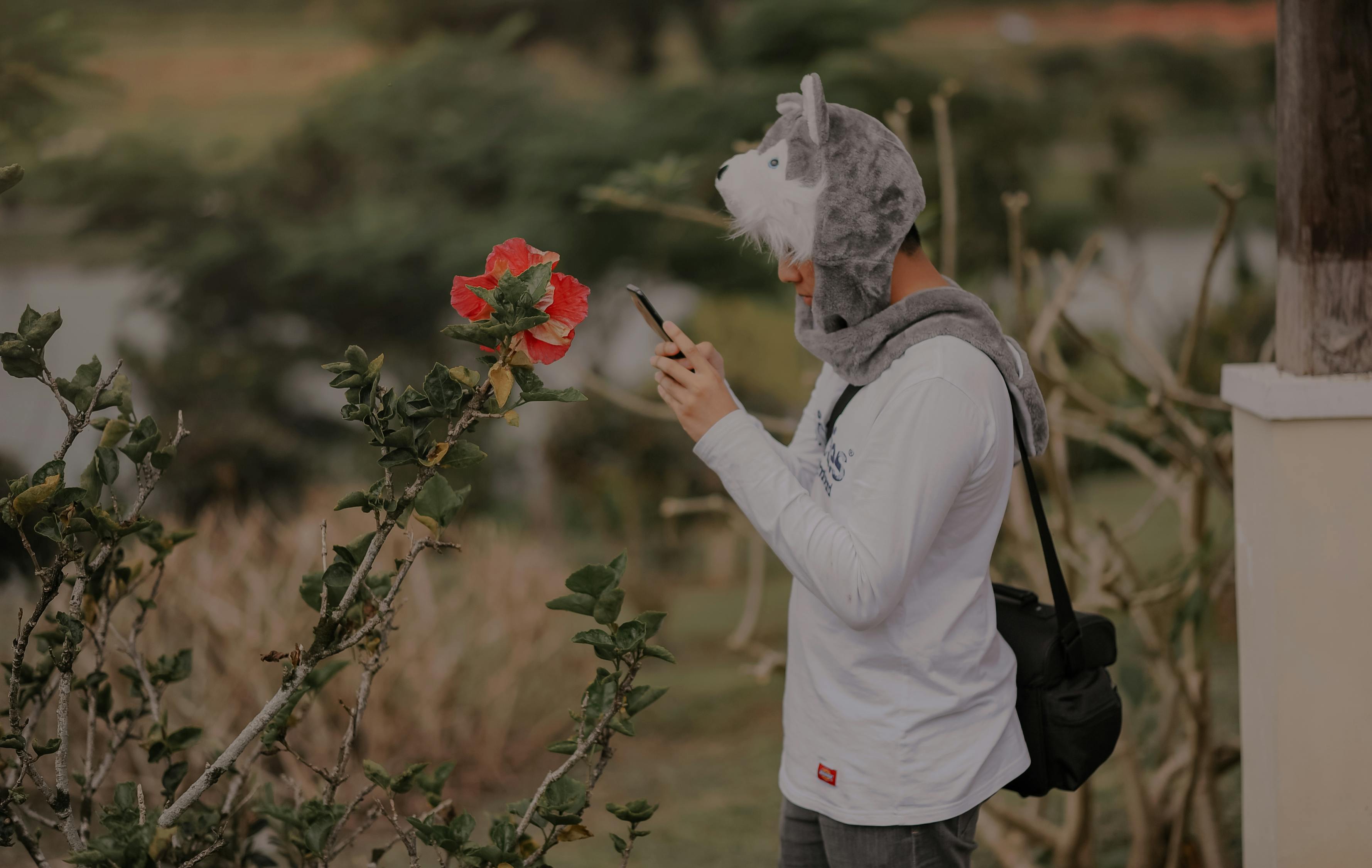 最低375分，辽宁供应链运营强校排名，你上榜了吗？