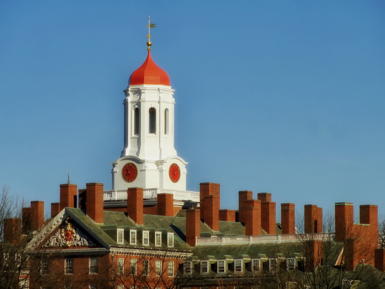 美国水牛城大学（University at Buffalo）专业选择与职业规划指南