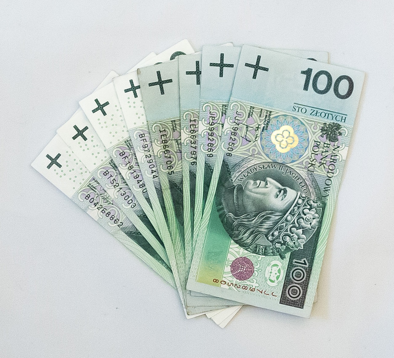 2025年，497分能上哪些本科名校？揭秘你的大学梦！