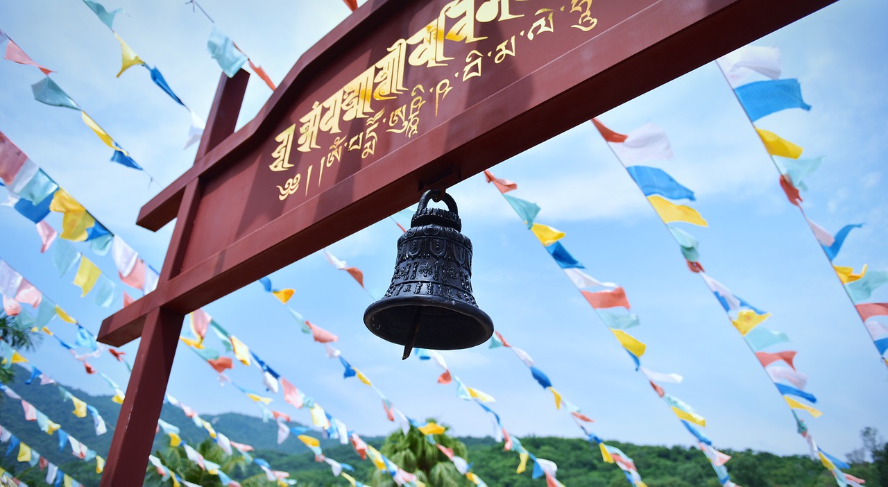 2025年，上海中医药大学录取门槛几何？揭秘历年分数线与位次！