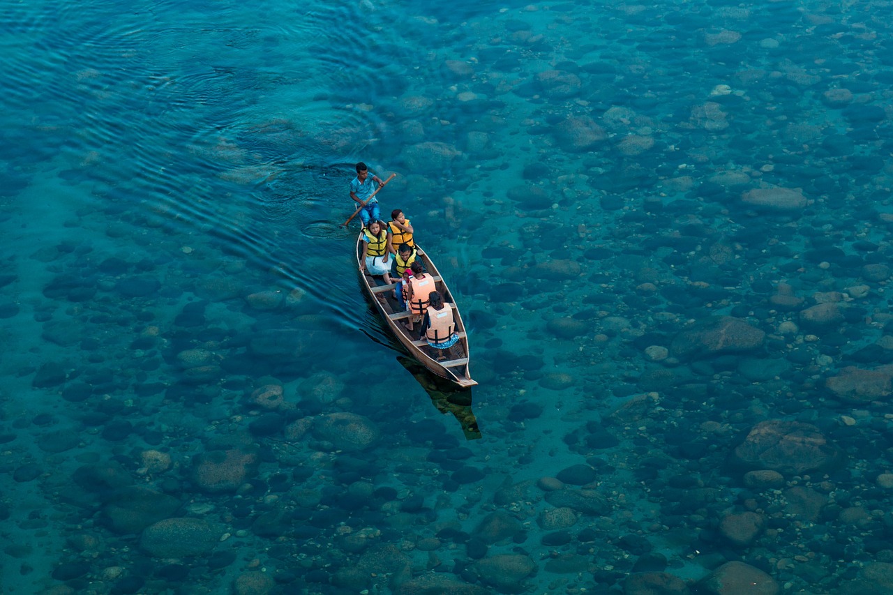水产养殖，你准备好开启海洋财富的探索之旅了吗？