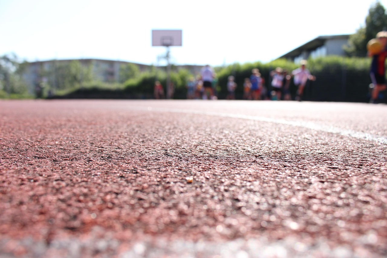 沈阳体育大学师范类，究竟藏着怎样的魅力，让你心驰神往？