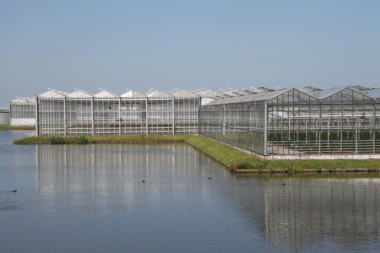 新疆师范哪家强？实力最强的高校！