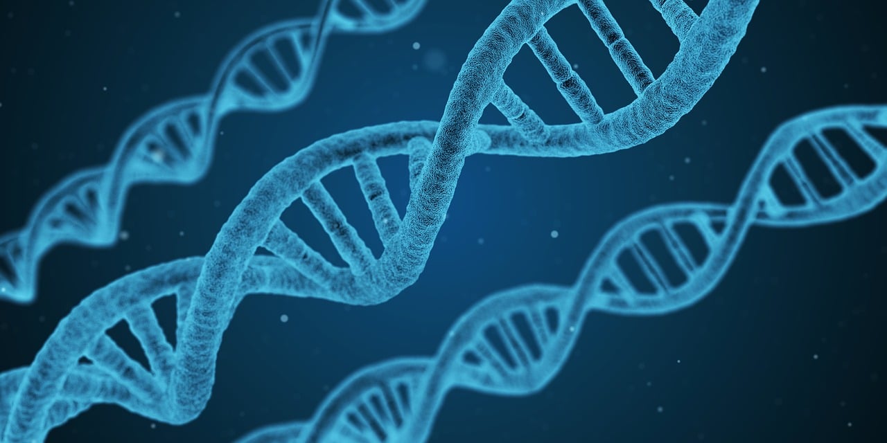 山东合成生物学专业，最低511分就能上？热门专业录取门槛！
