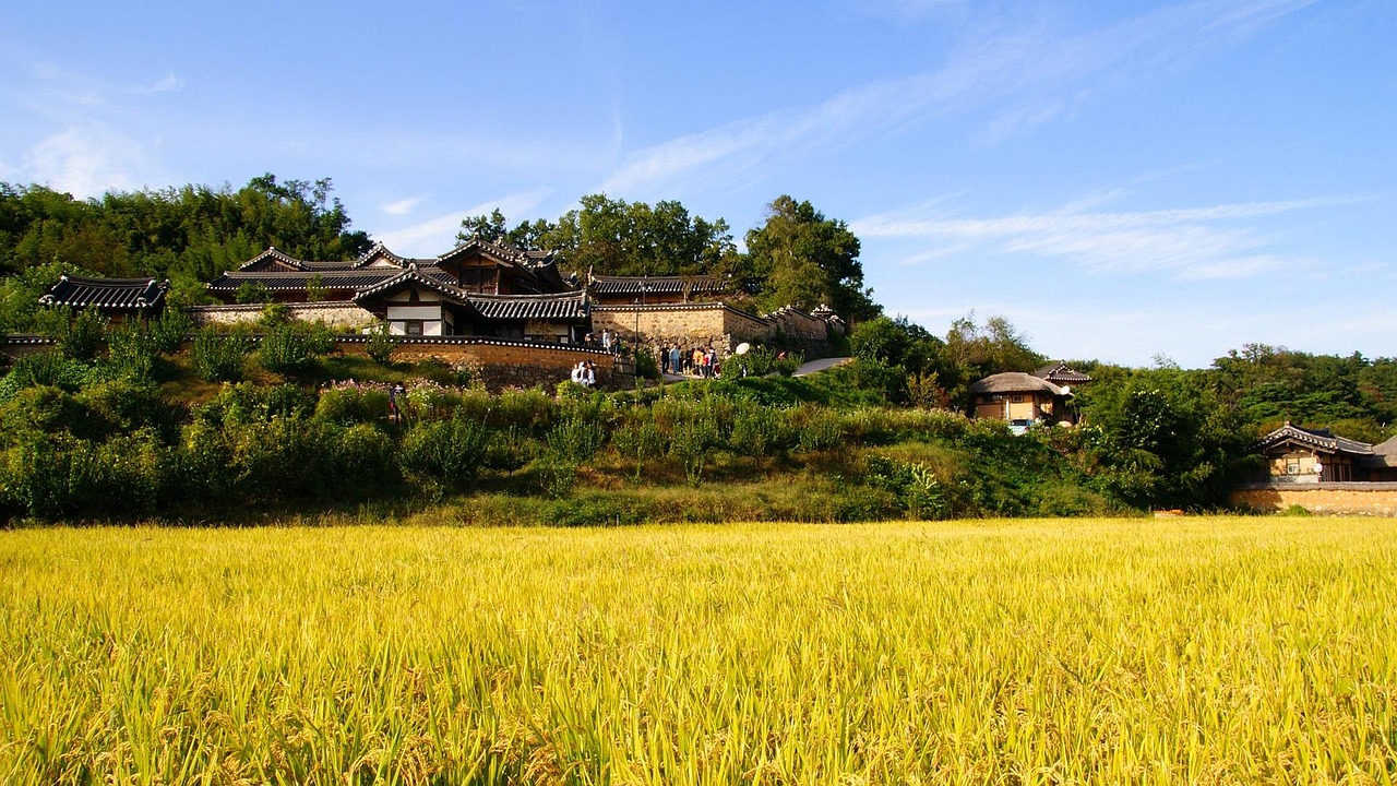 农村大学生在城市，能闯出一片怎样的天地？
