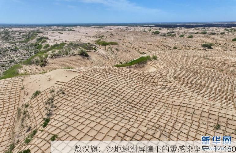敖汉旗:沙地绿洲屏障下的零感染坚守_14460