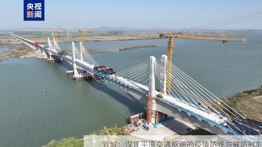 宜城：汉江平原交通枢纽的疫情防线与破防时刻