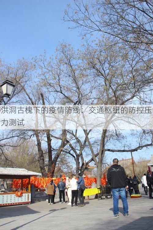 洪洞古槐下的疫情防线：交通枢纽的防控压力测试