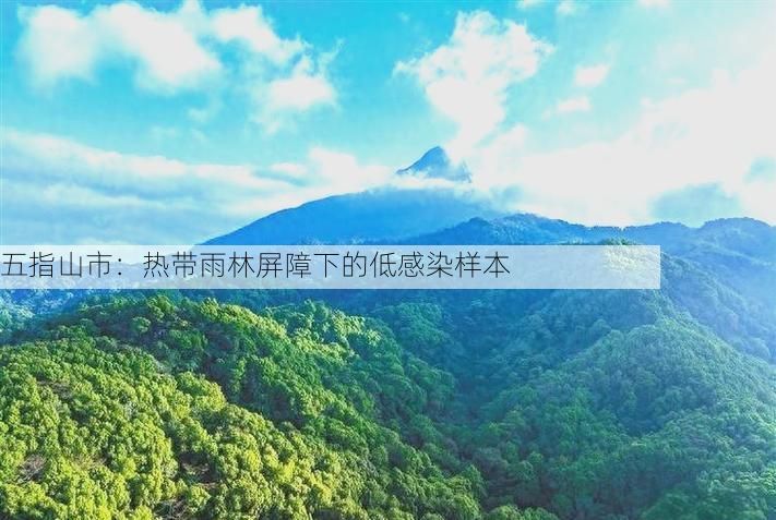 五指山市:热带雨林屏障下的低感染样本