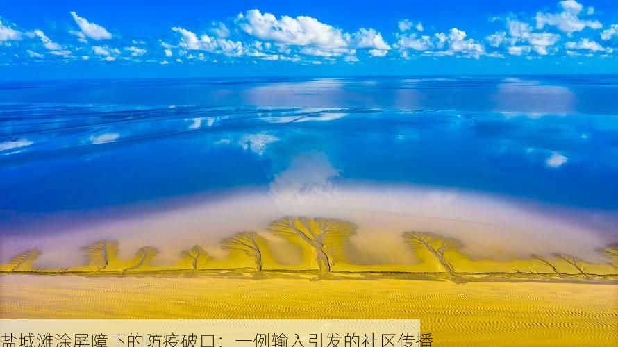 盐城滩涂屏障下的防疫破口：一例输入引发的社区传播