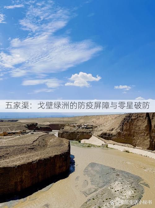 五家渠:戈壁绿洲的防疫屏障与零星破防