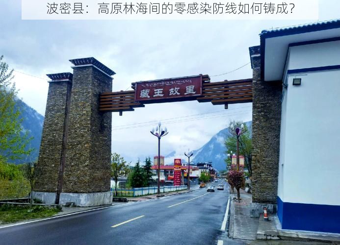 波密县：高原林海间的零感染防线如何铸成？