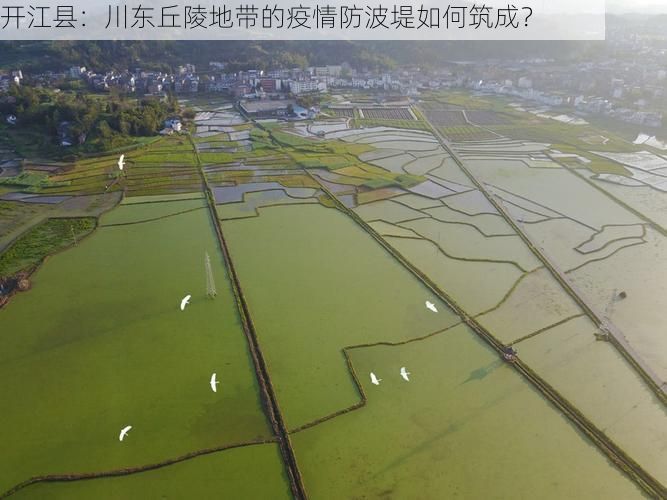 开江县:川东丘陵地带的疫情防波堤如何筑成?