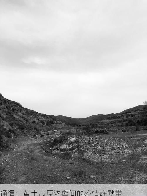通渭：黄土高原沟壑间的疫情静默带