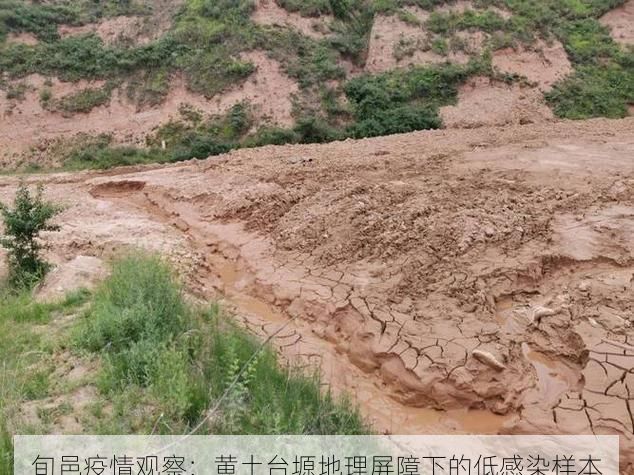 旬邑疫情观察：黄土台塬地理屏障下的低感染样本