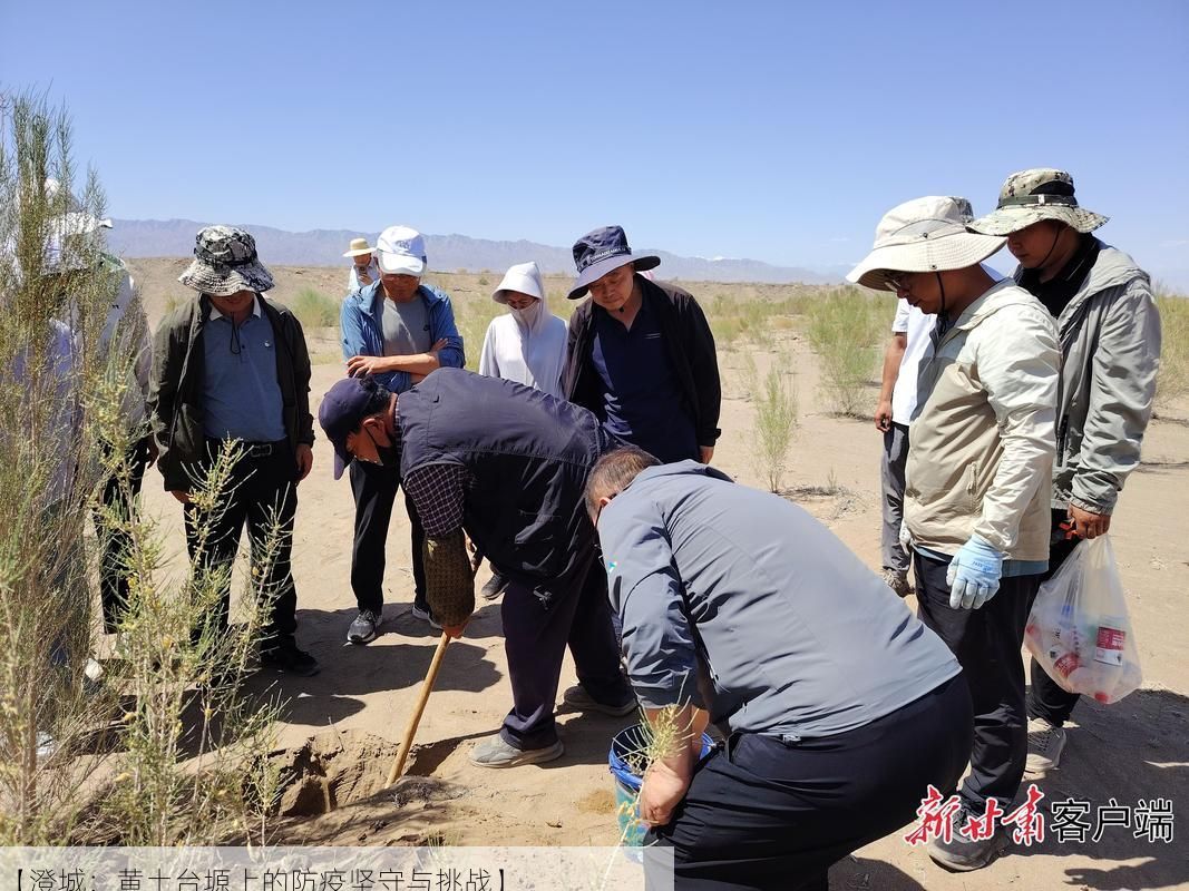 【澄城：黄土台塬上的防疫坚守与挑战】