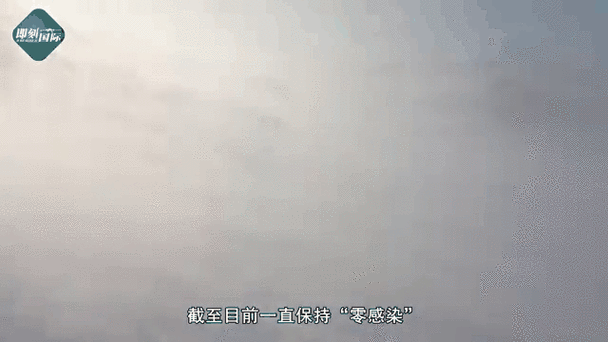 【镇坪：秦巴山脊上的零感染孤岛如何铸成？】