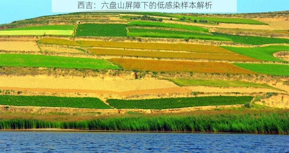 西吉:六盘山屏障下的低感染样本解析