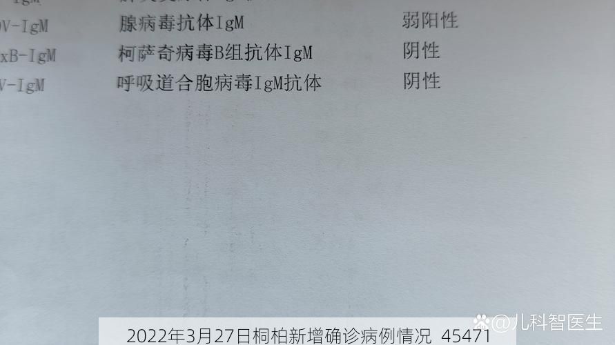 2022年3月27日桐柏新增确诊病例情况_45471