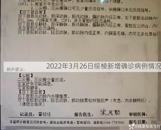 2022年3月26日绥棱新增确诊病例情况