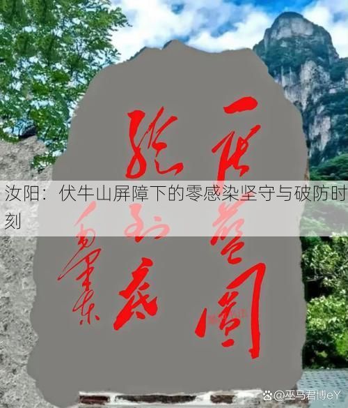 汝阳：伏牛山屏障下的零感染坚守与破防时刻