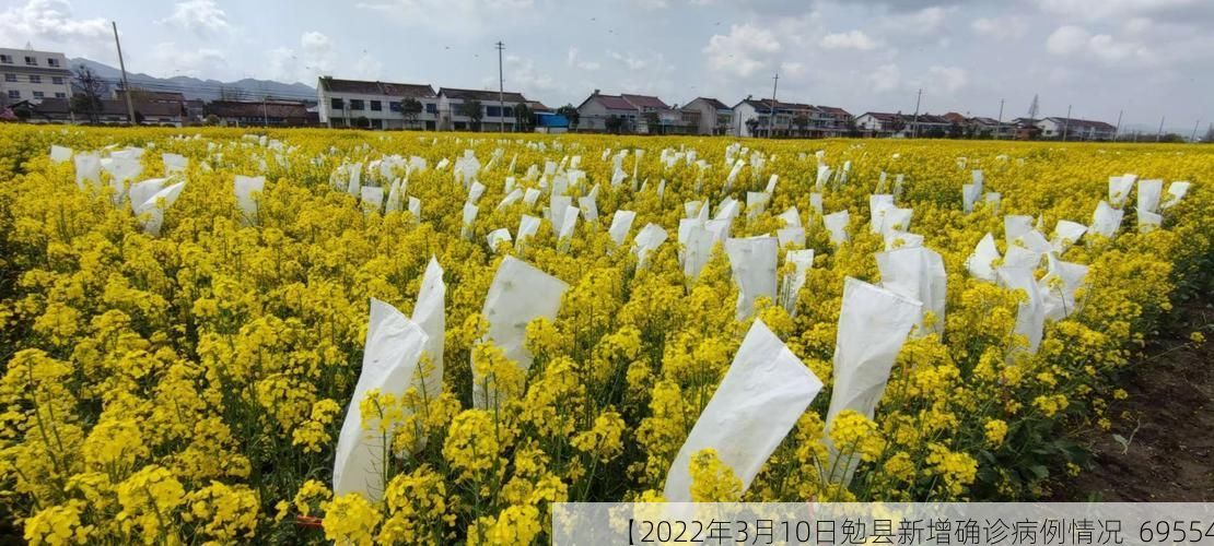 【2022年3月10日勉县新增确诊病例情况_69554】