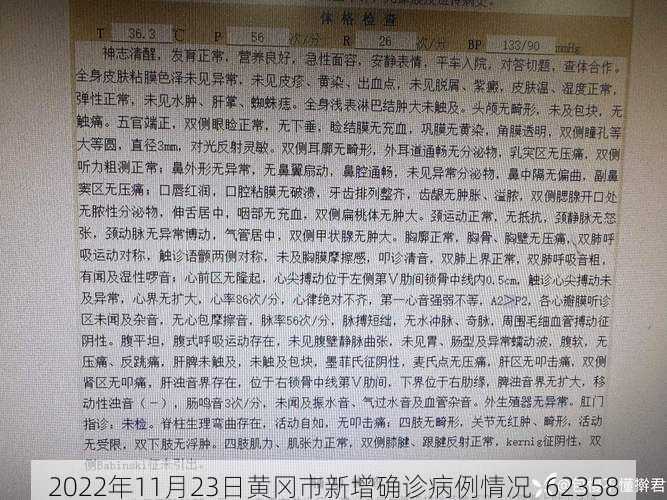 2022年11月23日黄冈市新增确诊病例情况_62358